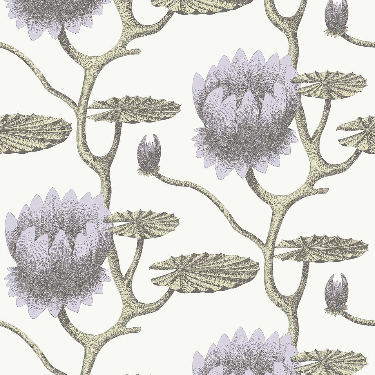 Tapeta CONTEMPORARY COLLECTION - Summer Lily fiolet na bieli Cole & Son    Eye on Design