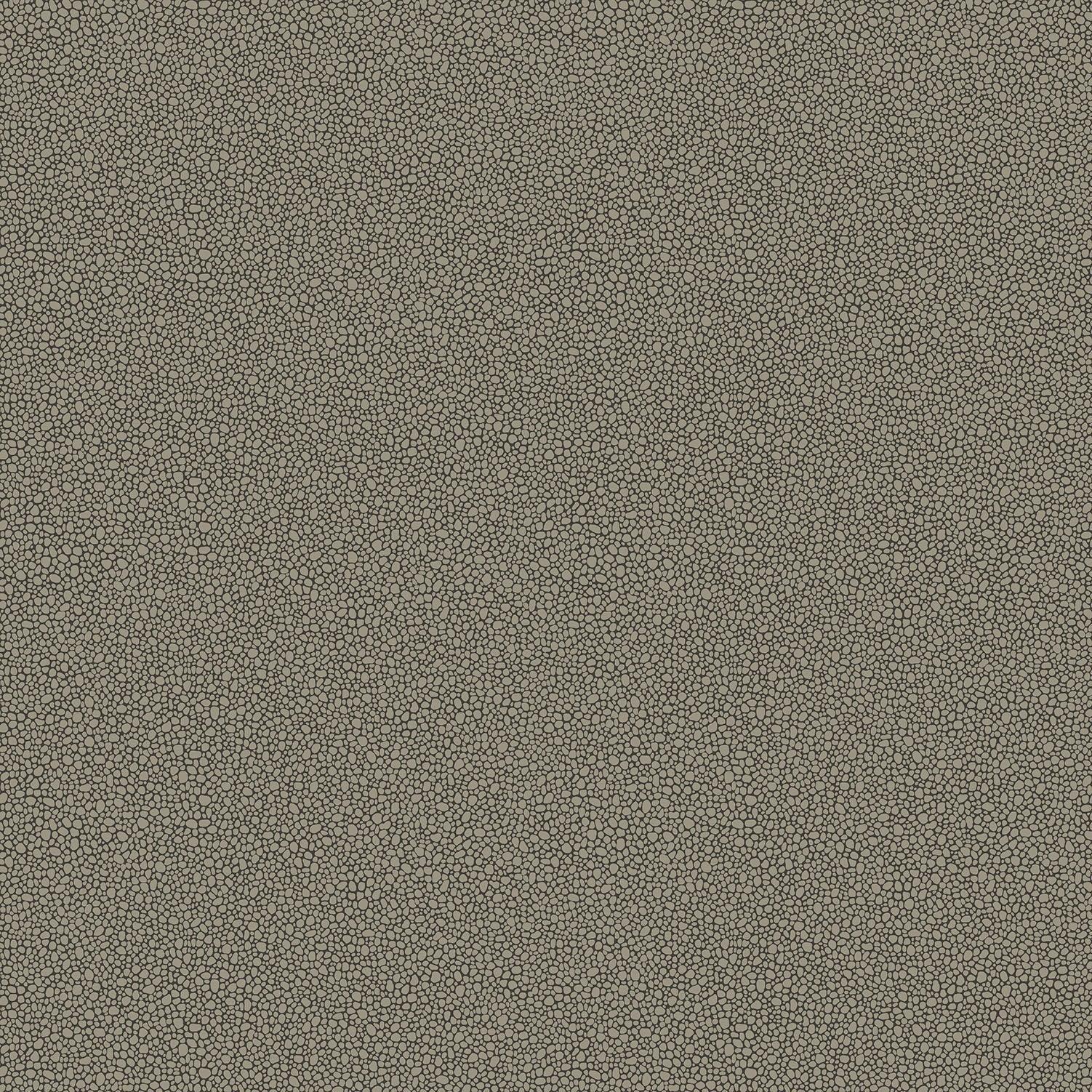 Tapeta CURIO - Goldstone metaliczne srebro na czarnym Cole & Son    Eye on Design