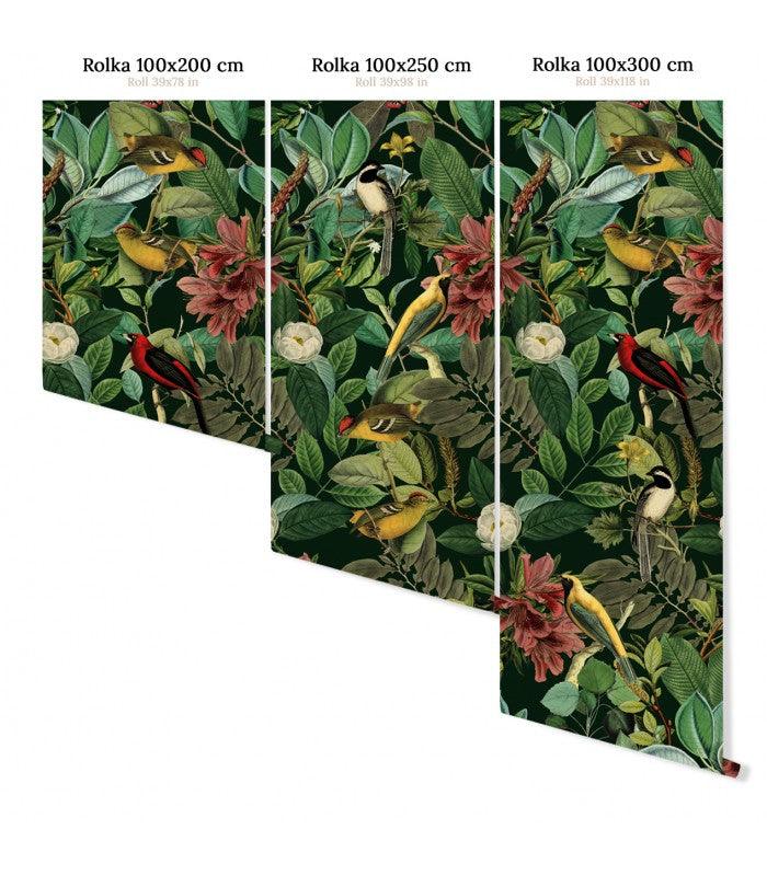 Tapeta DARK COLORS Wallcolors    Eye on Design