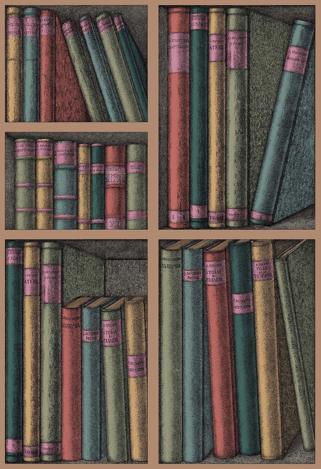Behang met bibliotheek- en boekenmotief FORNASETTI - Ex Libris multikleur