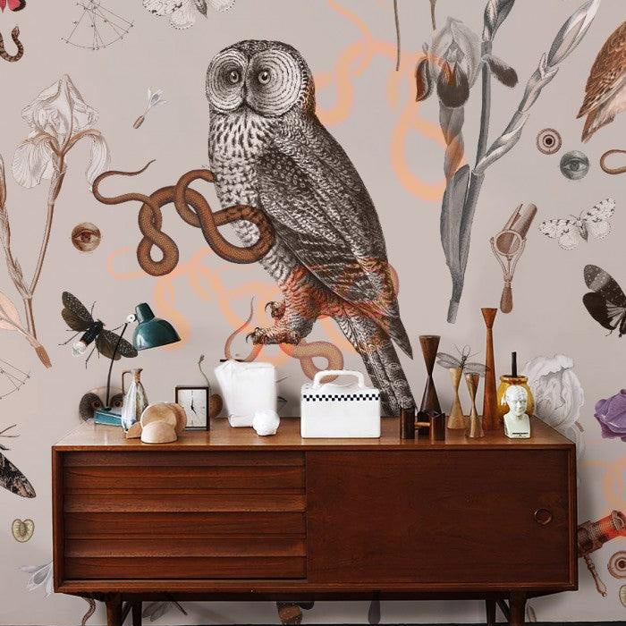 Tapeta PINK OWLS Wallcolors    Eye on Design