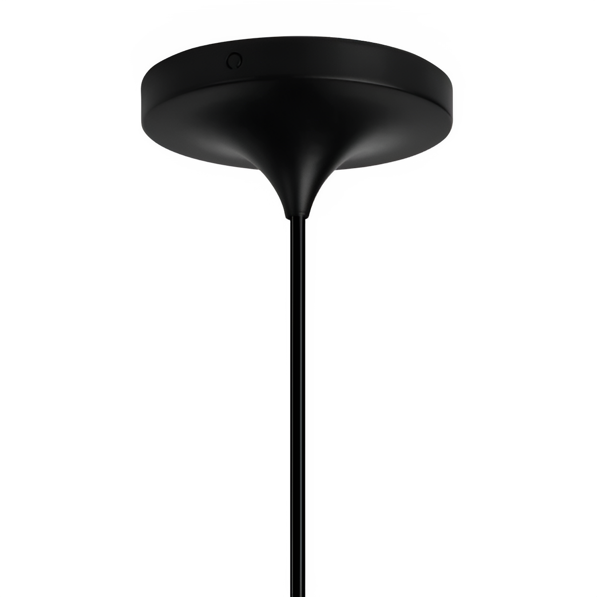 CORD PRO black pendant lamp mounting