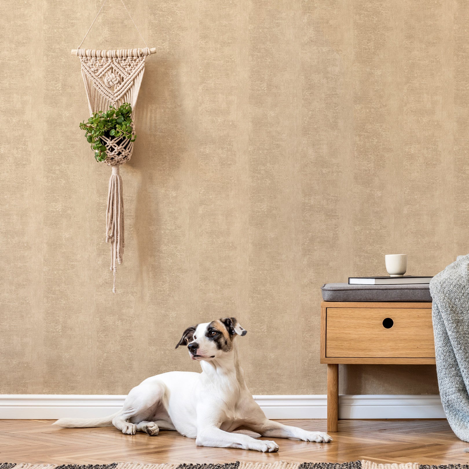 Strukturtapete mit Patina-Effekt ZUMAIA - SABLE beige