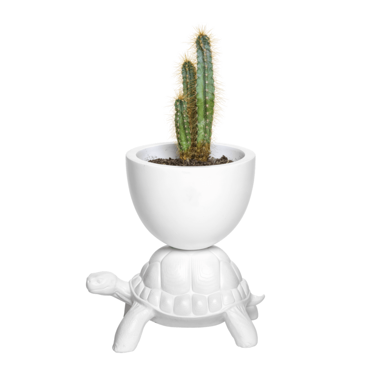 Osłonka TURTLE CARRY biały Qeeboo    Eye on Design