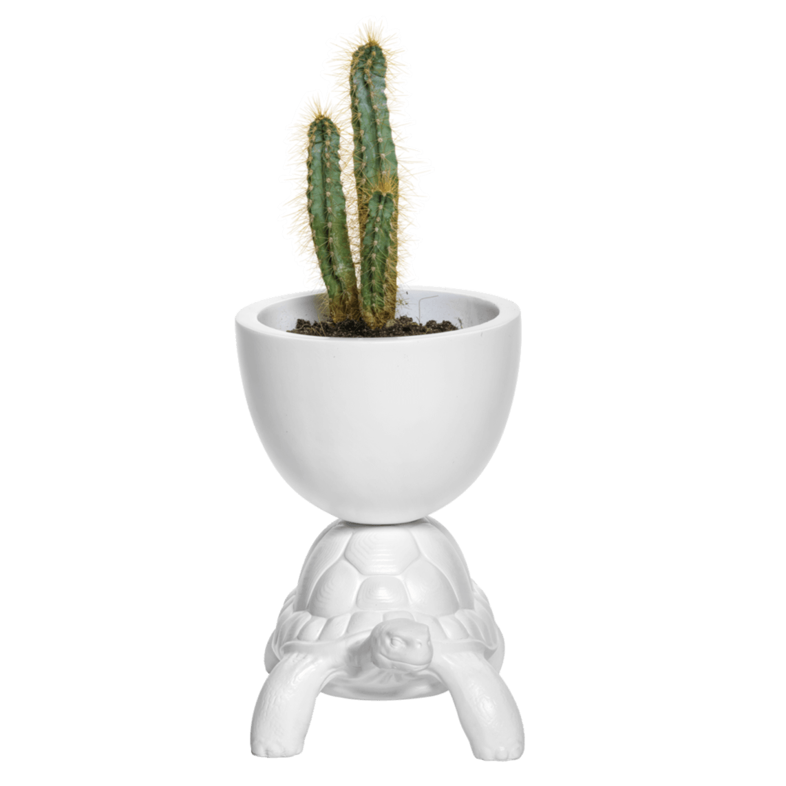 Osłonka TURTLE CARRY biały Qeeboo    Eye on Design